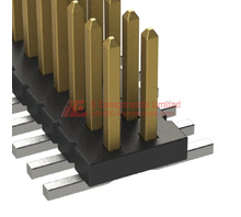 FTS-xxpos-04-gold-tin-DV.jpg Image