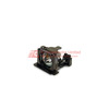 WW-SERT-2 Image