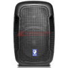 LIONT15 Image