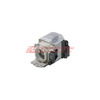 WW-L217-3 Image